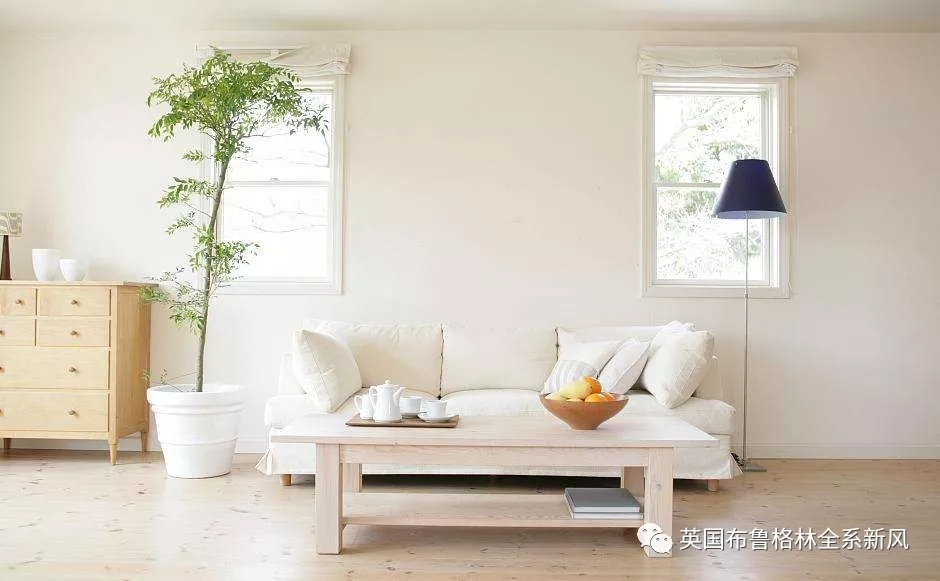 布魯格林新風系統